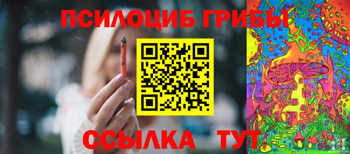 Галлюциногенные грибы мицелий Мытищи